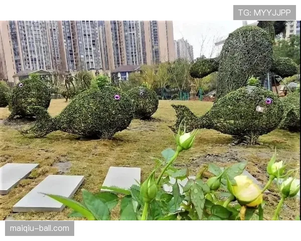 草坪场地规则拆解：标准尺寸与质量对比赛判罚有何影响
