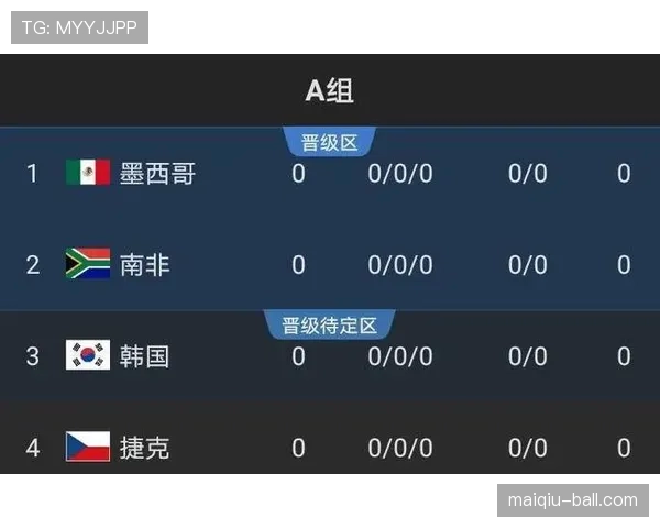 世界杯A组南非队战术打法全面解析